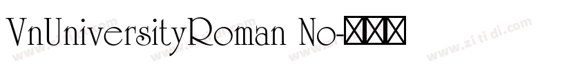 VnUniversityRoman No字体转换
